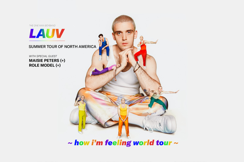 Lauv "~how i'm feeling~" Art Music Album Poster Print 12" 16" 20" 24" Sizes 